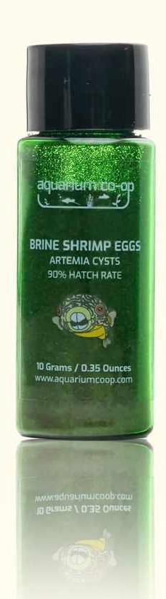 Aquarium Co-Op Brine Shrimp Eggs