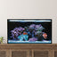 Innovative Marine Fusion 20 Long aquarium lifestyle setup