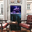 Innovative Marine Fusion Pro 2 40 AIO aquarium on black APS aluminum stand