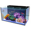 Innovative Marine Fusion 20 Long AIO aquarium reef aquascape front view