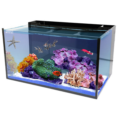 Innovative Marine Fusion 20 Long AIO aquarium reef aquascape front view
