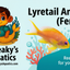 Lyretail Anthias - Female