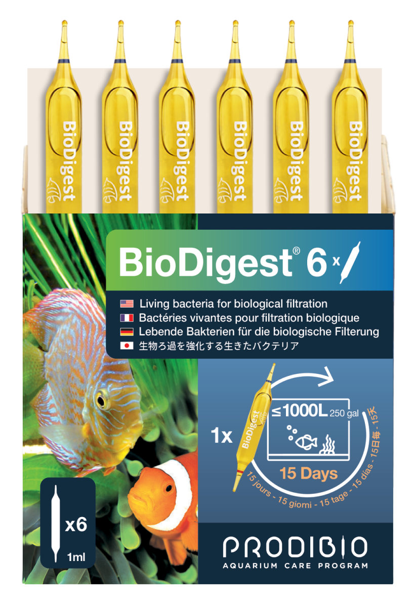 Prodibio BioDigest 6-vial box - live nitrifying and denitrifying bacteria ampoules for freshwater and saltwater aquariums
