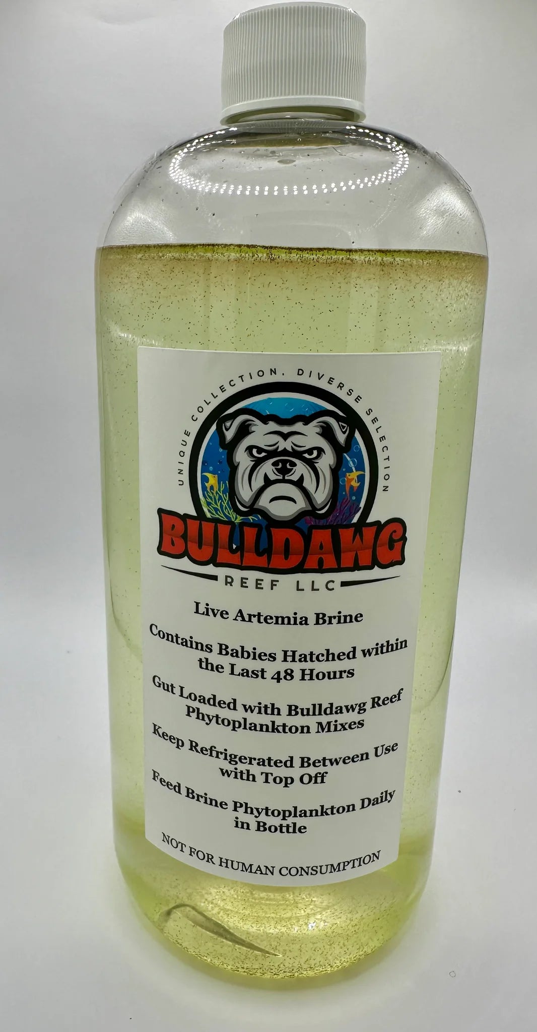 Bulldawg Artemia Brine Shrimp 16oz bottle - live gut-loaded baby brine shrimp nauplii for reef aquariums
