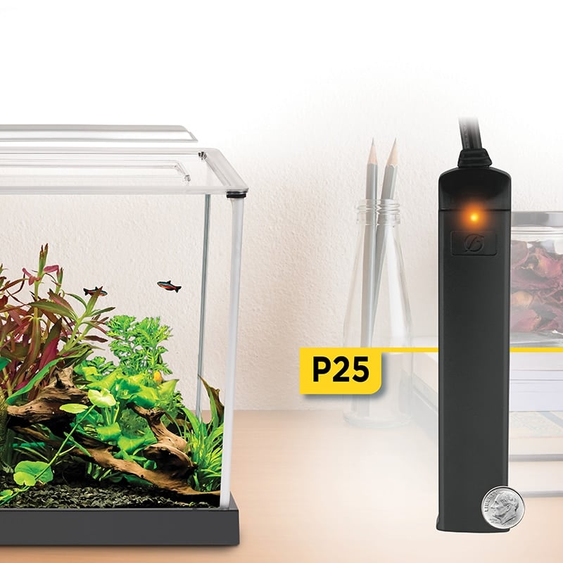 Fluval P25 nano heater shown beside a dime for scale next to a small planted aquarium