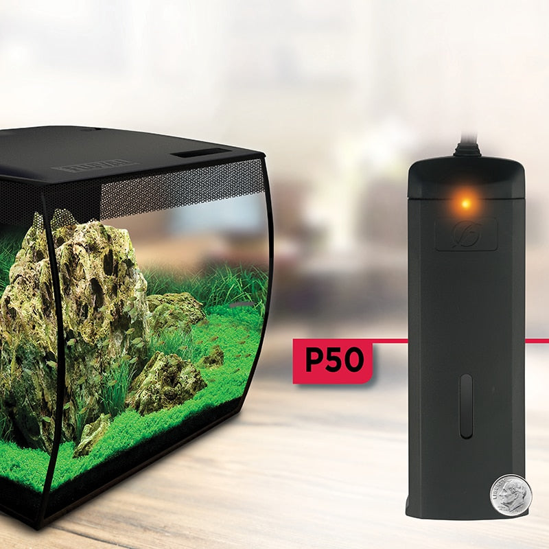 Fluval P50 preset heater shown beside a dime for scale next to a planted aquarium