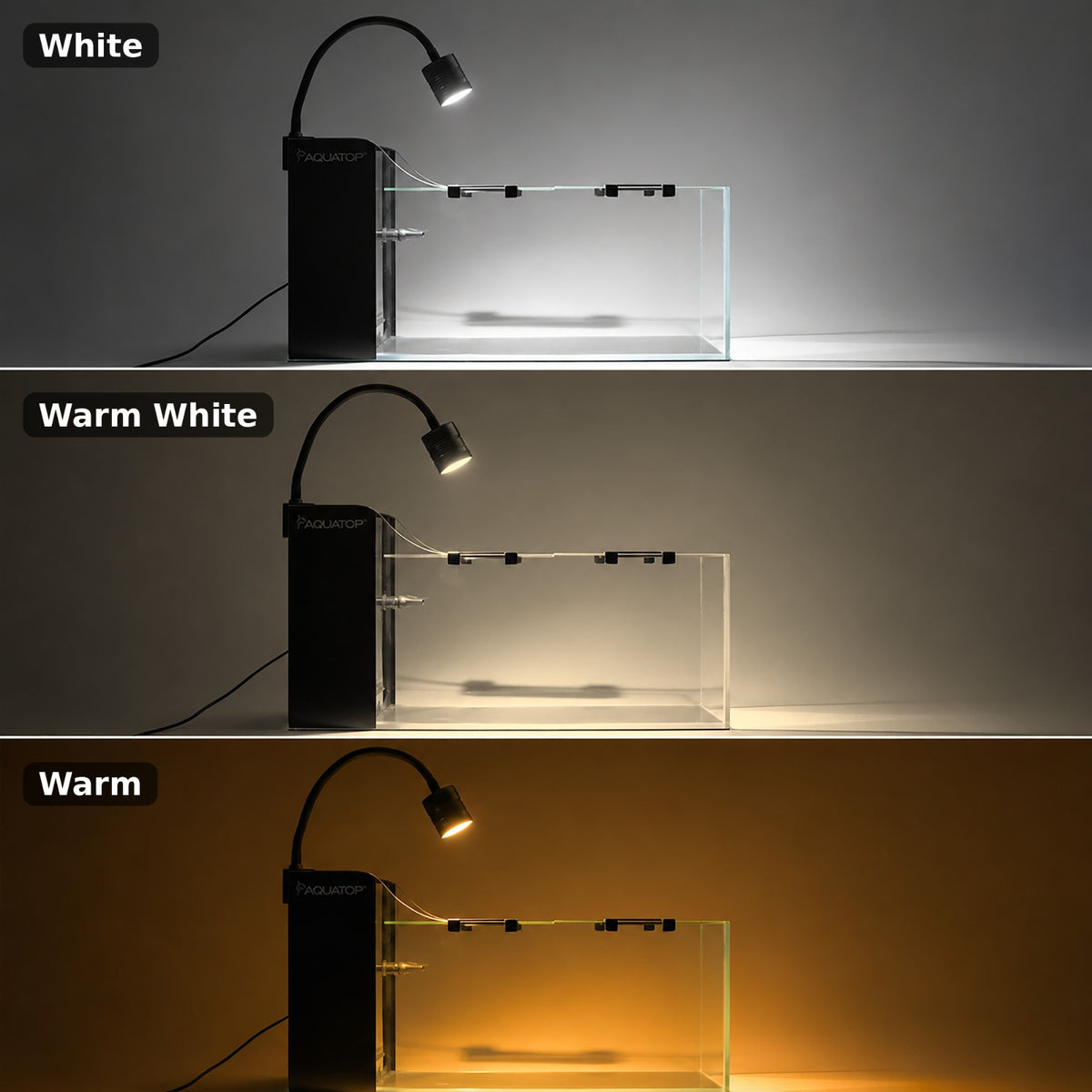 AquaFin LED colour comparison: the same tank lit in white 6500K, warm white, and warm 3000K