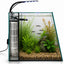 Ascension 9 set up as a planted aquarium with fish, substrate and the Cylindro filter sleeve in place