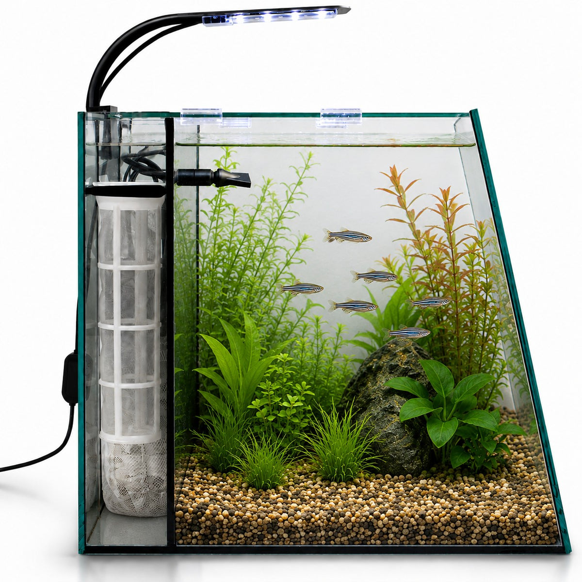 Ascension 9 set up as a planted aquarium with fish, substrate and the Cylindro filter sleeve in place