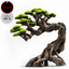 Aquatop Bonsai Tree ornament, Ancient Pine Tree, a tall curved trunk with exposed gnarled roots and a green moss-look canopy