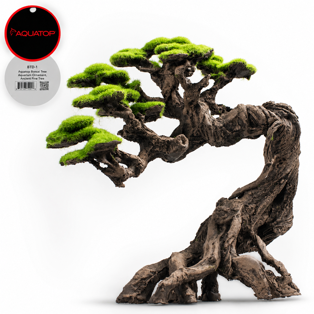 Aquatop Bonsai Tree ornament, Ancient Pine Tree, a tall curved trunk with exposed gnarled roots and a green moss-look canopy