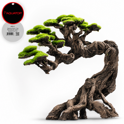 Aquatop Bonsai Tree ornament, Ancient Pine Tree, a tall curved trunk with exposed gnarled roots and a green moss-look canopy