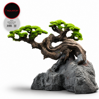 Aquatop Bonsai Tree ornament, Brazilian Tree, a wind-bent trunk growing from a grey rock base