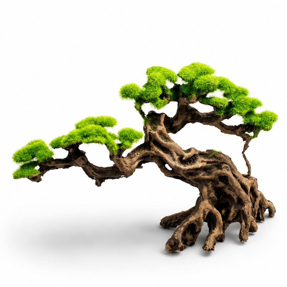 Aquatop Bonsai Tree ornament, Spreading Tree, additional view