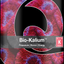 Quantum Bio-Kalium reef supplement label - complexed potassium and boron for red coral color
