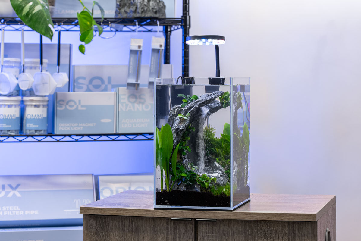 Wider view of the planted A2 sand waterfall tank kit on display