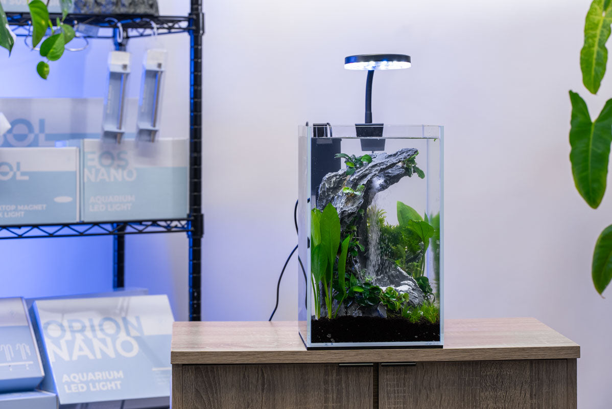 Aqua Worx A2 sand waterfall tank kit planted and running, shown set up on a cabinet