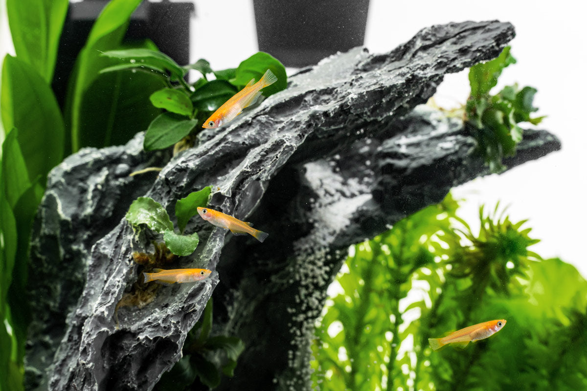 Sand pouring off the A2 hardscape ledge beside live plants