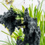 Close up of the C1 resin rock with plants growing around it