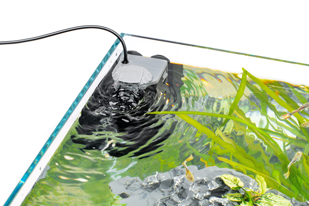 Waterline view showing the internal filter and the sand bed in the C1 kit