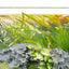 Close up at the waterline of the C1 tank with plants and sand