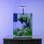 Aqua Worx Sand Waterfall Tank Kit C1 planted and lit, shown on a stand