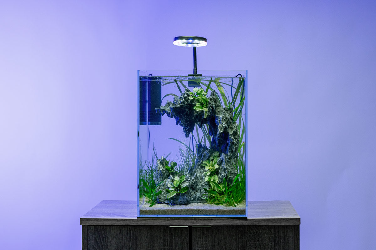 Aqua Worx Sand Waterfall Tank Kit C1 planted and lit, shown on a stand