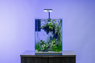 Aqua Worx Sand Waterfall Tank Kit C1 planted and lit, shown on a stand