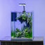 Aqua Worx C1 sand waterfall tank planted with stem plants and lit by the clip-on LED