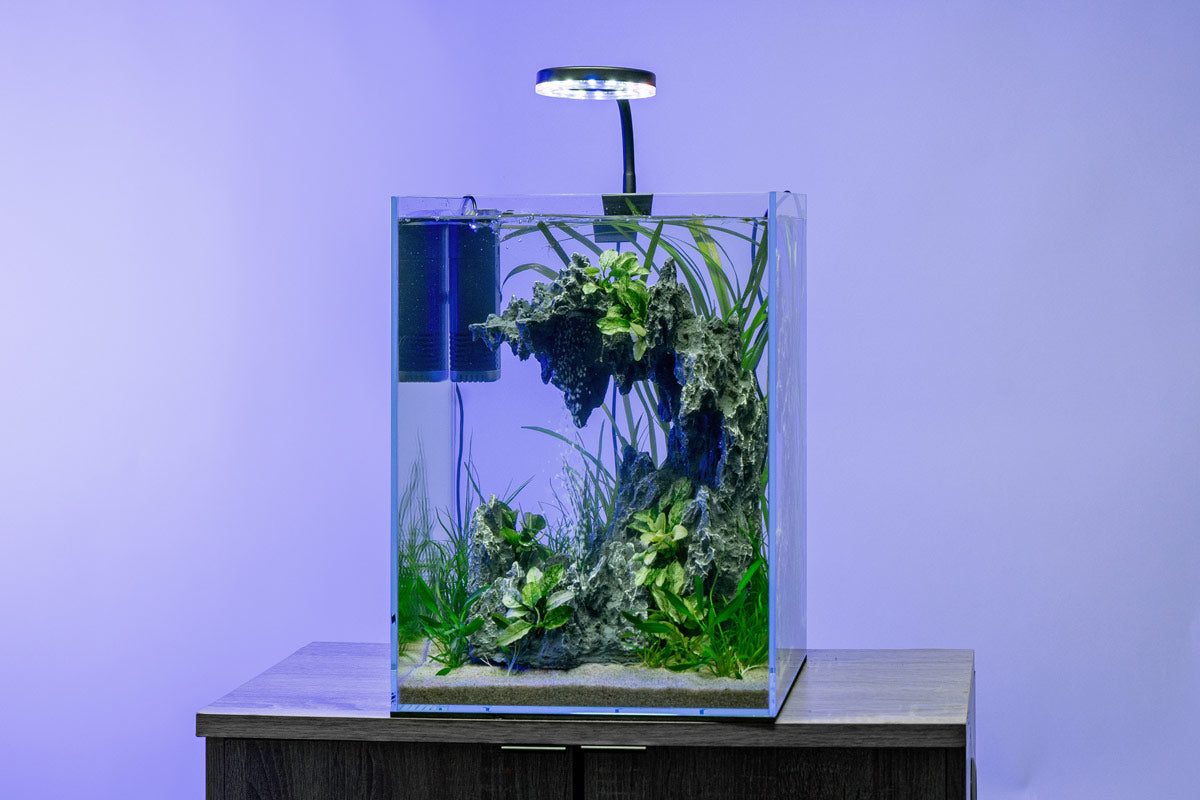 Aqua Worx C1 sand waterfall tank planted with stem plants and lit by the clip-on LED