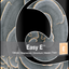 Quantum Easy E reef calcium supplement label - ionic and complexed calcium for coral skeletons