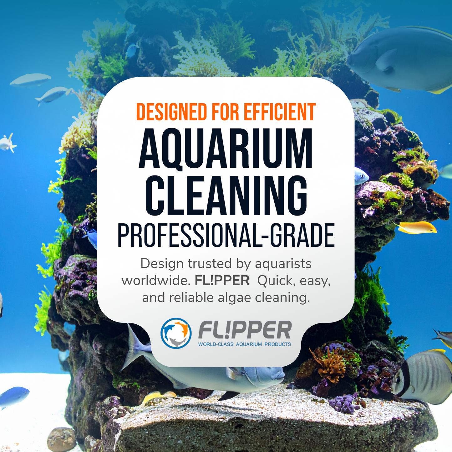 Flipper Pico professional grade aquarium cleaning