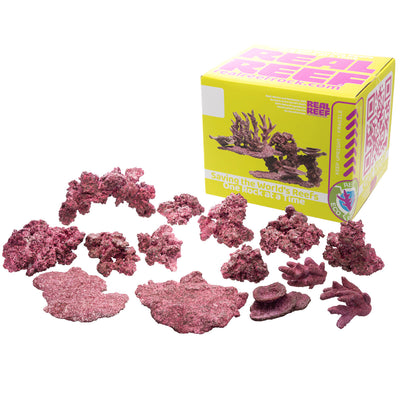 Real Reef Ready Reef Mix box of aquacultured reef rock