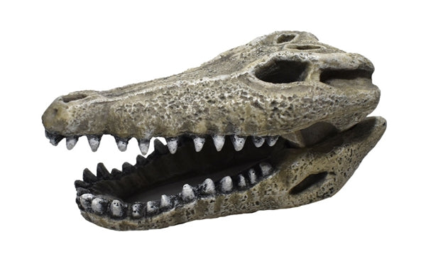 Hikari Gator Skull aquarium ornament