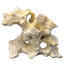 Hikari Texas Holey Rock Resin Ornament | Cichlid Cave & Aquascape Centerpiece