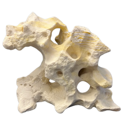 Hikari Texas Holey Rock Resin Ornament | Cichlid Cave & Aquascape Centerpiece