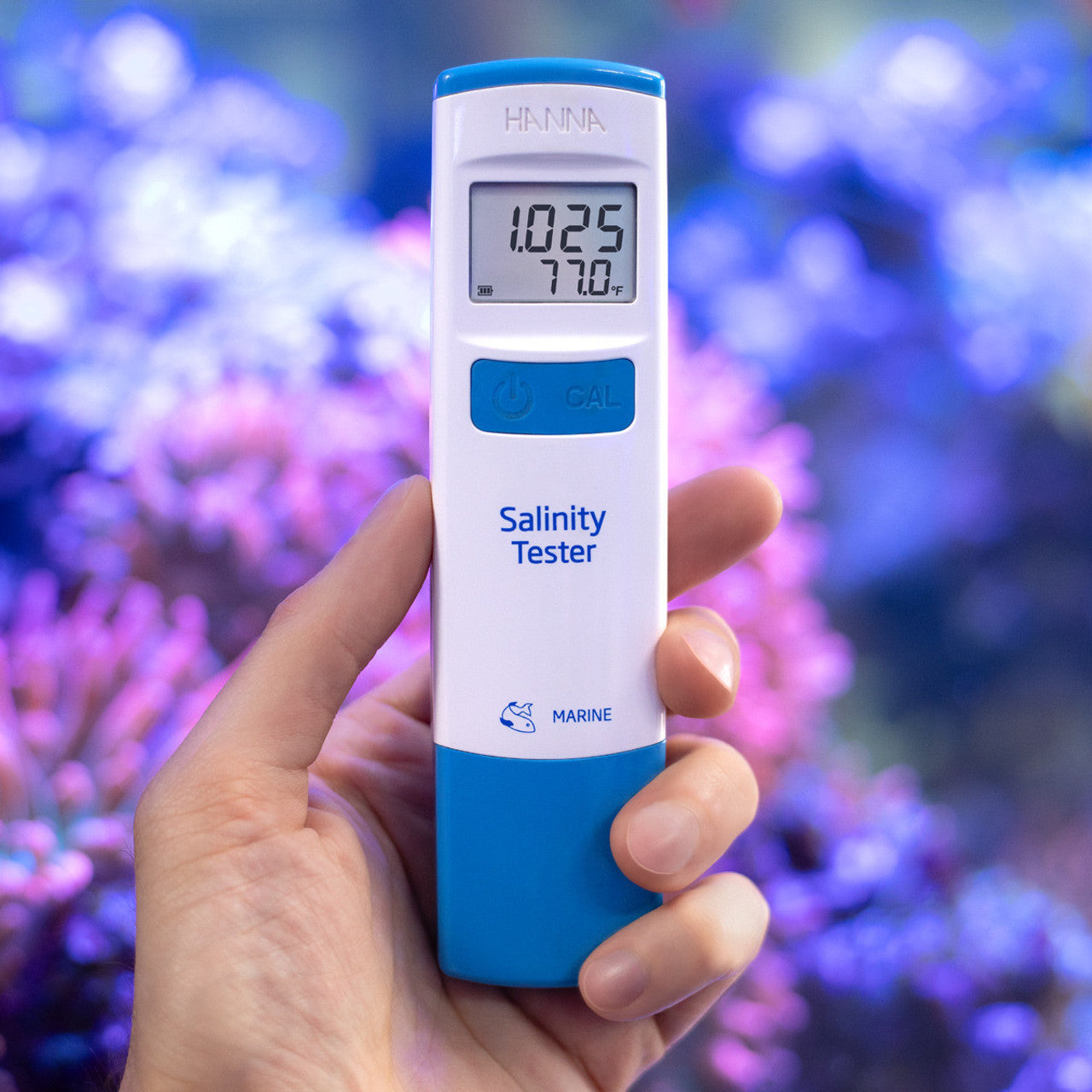 Hanna Instruments 98319 – Marine Salinity & Temperature Tester - Squeaky's Aquatics