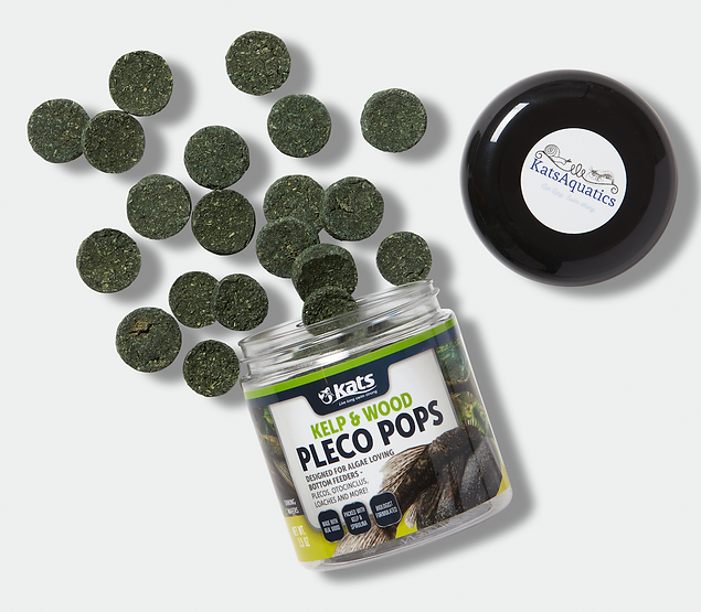 Kelp and Wood Pleco Pops sinking wafers scattered around the open jar