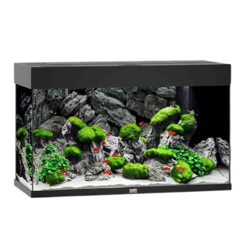Juwel Rio 125 LED aquarium, black