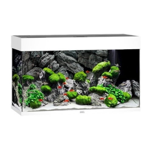 Juwel Rio 125 LED aquarium, white