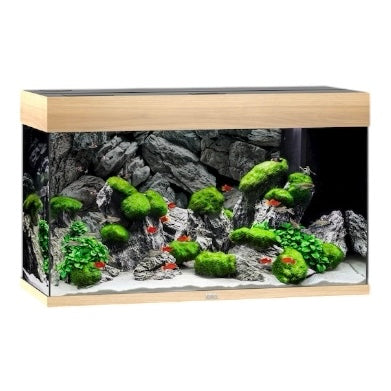 Juwel Rio 125 LED aquarium, light wood