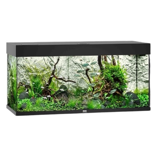 Juwel Rio 180 LED aquarium, black