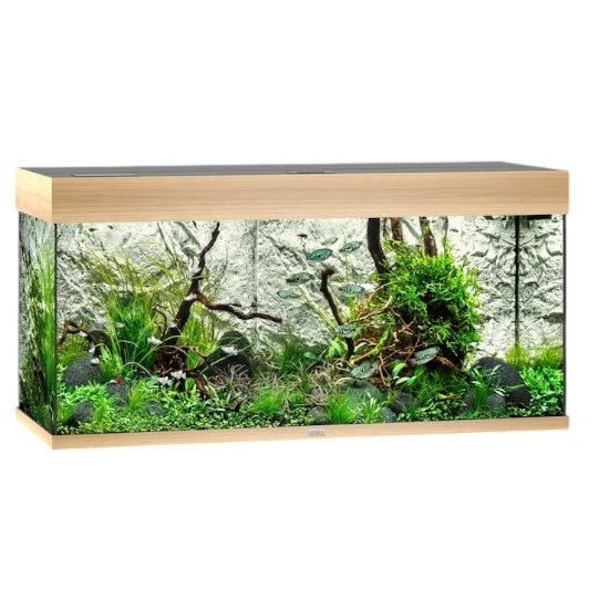Juwel Rio 180 LED aquarium, light wood