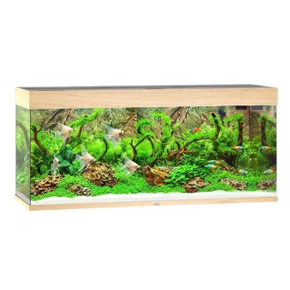 Juwel Rio 240 LED aquarium, light wood