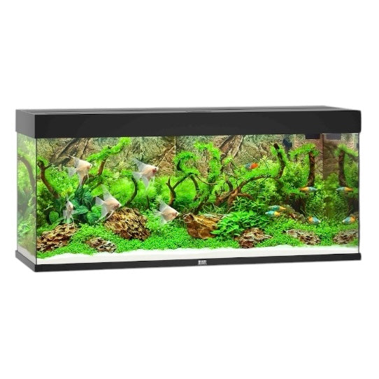 Juwel Rio 240 LED aquarium, black