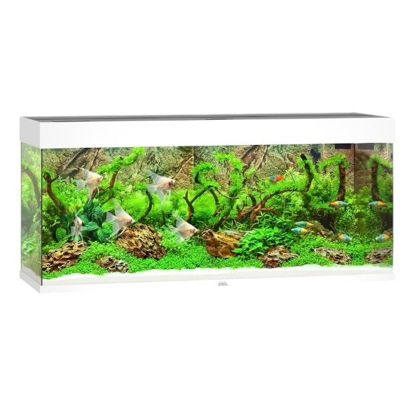 Juwel Rio 240 LED aquarium, white
