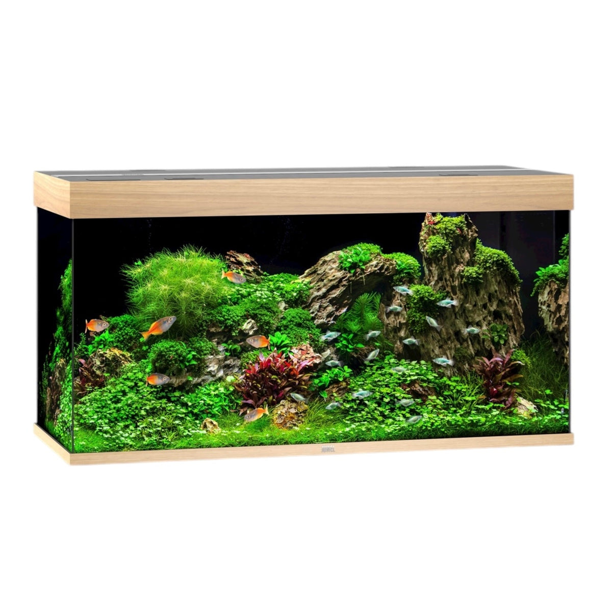 Juwel Rio 350 LED aquarium, light wood