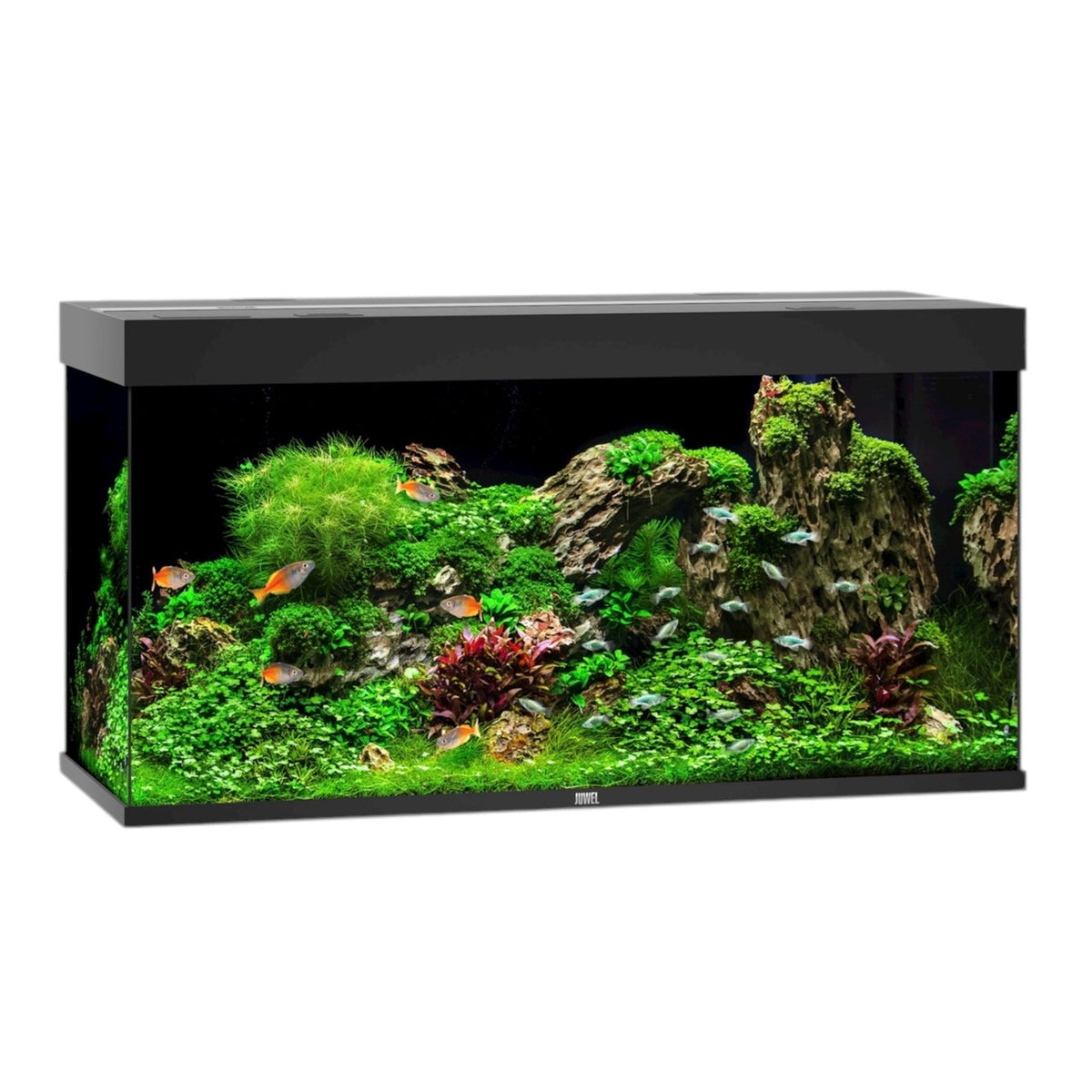 Juwel Rio 350 LED aquarium, black