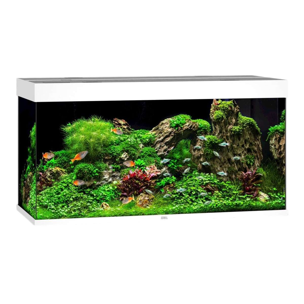 Juwel Rio 350 LED aquarium, white