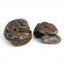 Ink Painting Stone, smooth rounded aquascaping stones with black, tan and rust banding